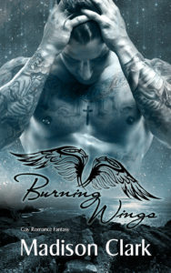 Cover: Burning Wings